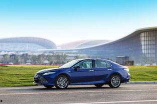 国产吃瓜婊 第2页